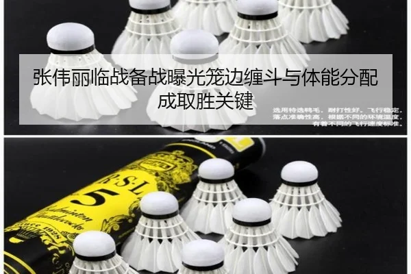 张伟丽临战备战曝光笼边缠斗与体能分配成取胜关键