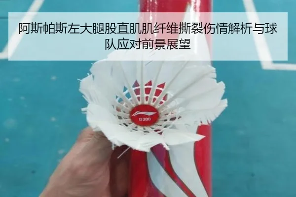 阿斯帕斯左大腿股直肌肌纤维撕裂伤情解析与球队应对前景展望