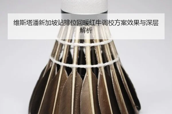 维斯塔潘新加坡站排位回暖红牛调校方案效果与深层解析